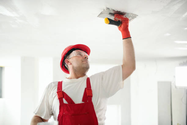 Best Drywall Sanding and Smoothing  in USA